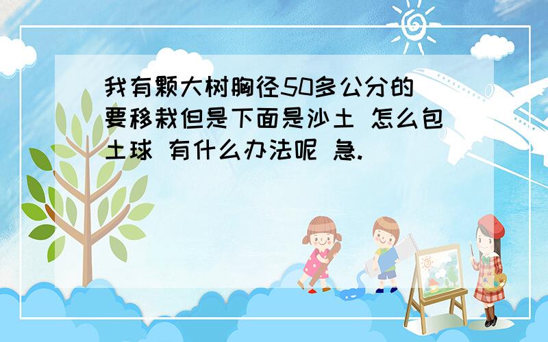 我有颗大树胸径50多公分的 要移栽但是下面是沙土 怎么包土球 有什么办法呢 急.