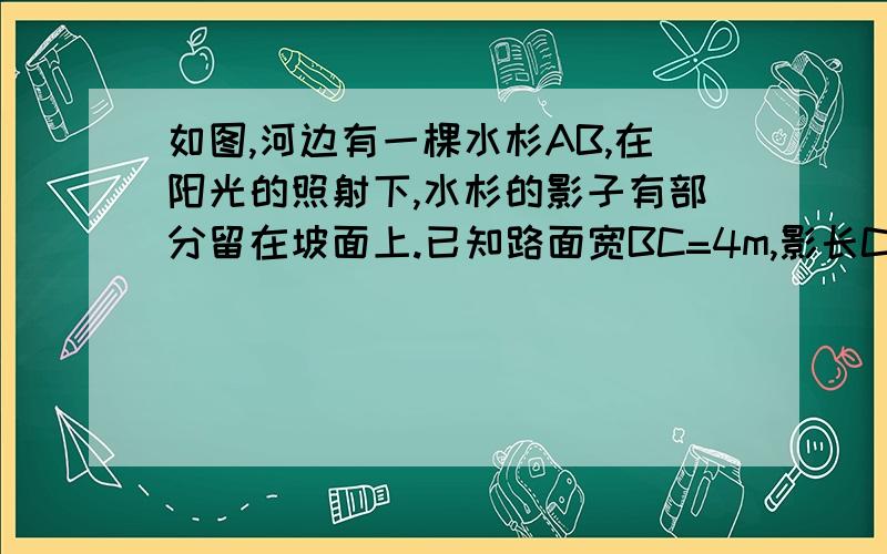 如图,河边有一棵水杉AB,在阳光的照射下,水杉的影子有部分留在坡面上.已知路面宽BC=4m,影长CD=4m.同一时刻,身高都为1.6m的小明和小华同时分别站在平地和坡面上,他们的影子也分别落在平地和