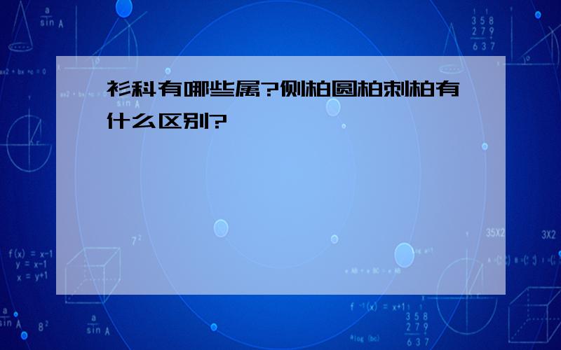 衫科有哪些属?侧柏圆柏刺柏有什么区别?