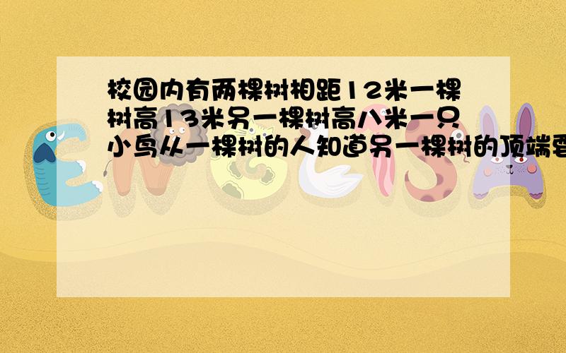 校园内有两棵树相距12米一棵树高13米另一棵树高八米一只小鸟从一棵树的人知道另一棵树的顶端要飞多少米?