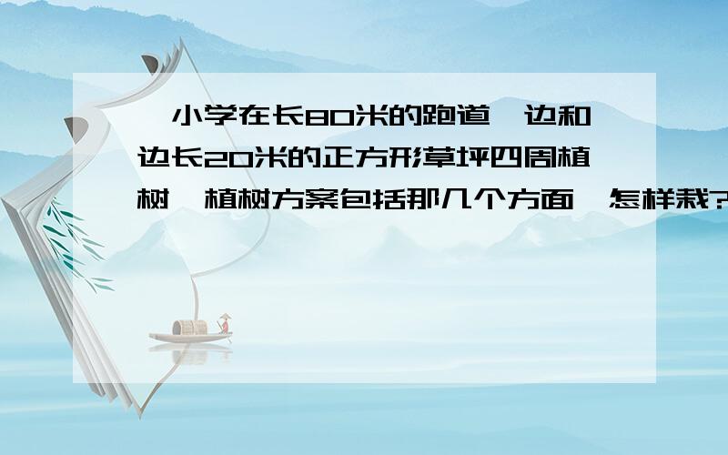 一小学在长80米的跑道一边和边长20米的正方形草坪四周植树,植树方案包括那几个方面,怎样栽?