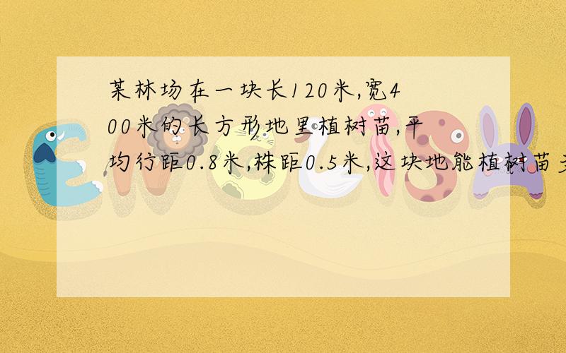 某林场在一块长120米,宽400米的长方形地里植树苗,平均行距0.8米,株距0.5米,这块地能植树苗多少棵?