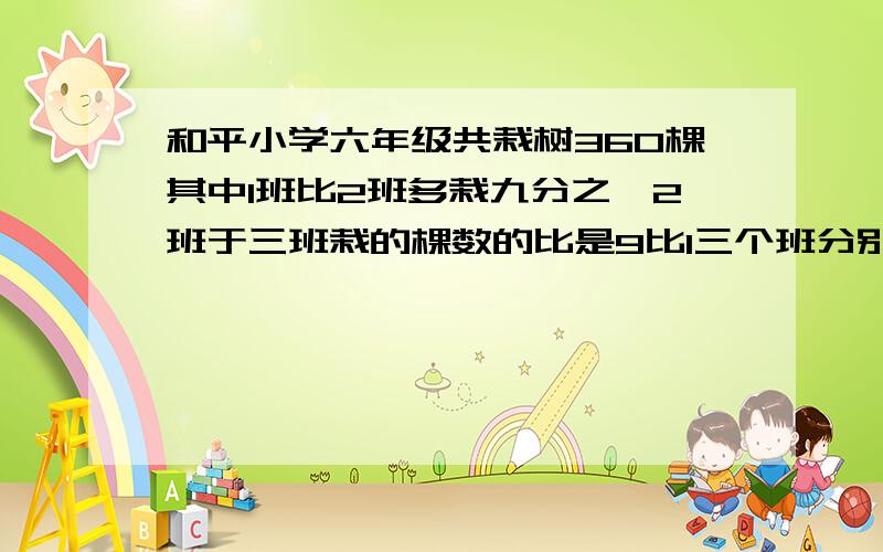 和平小学六年级共栽树360棵其中1班比2班多栽九分之一2班于三班栽的棵数的比是9比1三个班分别栽树多少棵