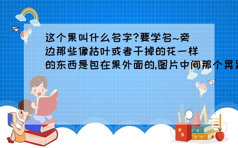 这个果叫什么名字?要学名~旁边那些像枯叶或者干掉的花一样的东西是包在果外面的,图片中间那个晃晃的是果实