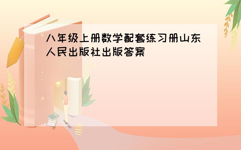 八年级上册数学配套练习册山东人民出版社出版答案