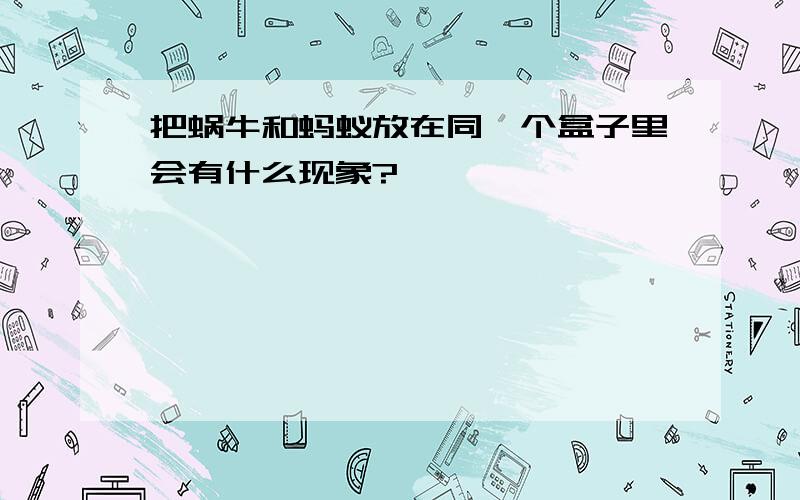 把蜗牛和蚂蚁放在同一个盒子里会有什么现象?