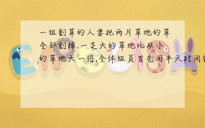 一组割草的人要把两片草地的草全部割掉.一支大的草地比从小的草地大一倍,全体组员首先用半天时间割大草用一元一次方程解答,并在后面写上解释,和说明!一组割草的人要把两片草地的草