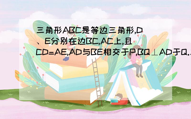 三角形ABC是等边三角形,D、E分别在边BC,AC上,且CD=AE,AD与BE相交于P,BQ⊥AD于Q.求证BP=2PQ.莪 往上 花 图 ,但 提醒 的 是 AD 并不是 垂直 于BC 的的提示 是 由全等正对应角相等,可证∠BPQ=60度得