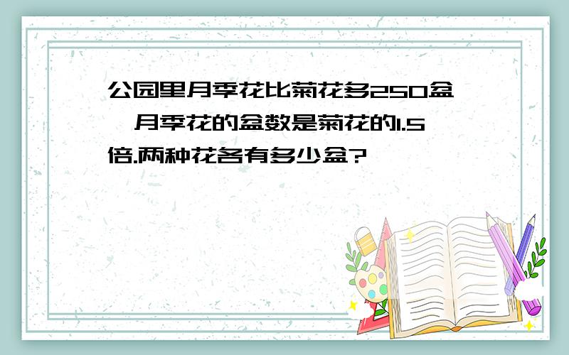 公园里月季花比菊花多250盆,月季花的盆数是菊花的1.5倍.两种花各有多少盆?