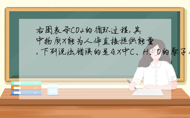 右图表示CO2的循环过程,其中物质X能为人体直接提供能量,下列说法错误的是A．X中C、H、O的原子个数之比为1:2:1B．转化1是自然界中将无机物转化为有机物的主要途径C．X在人体中氧化产生的CO