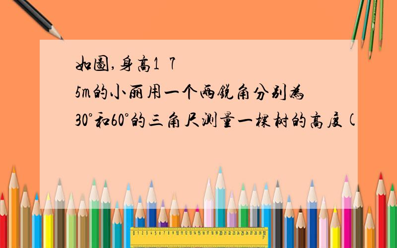 如图,身高1•75m的小丽用一个两锐角分别为30°和60°的三角尺测量一棵树的高度(