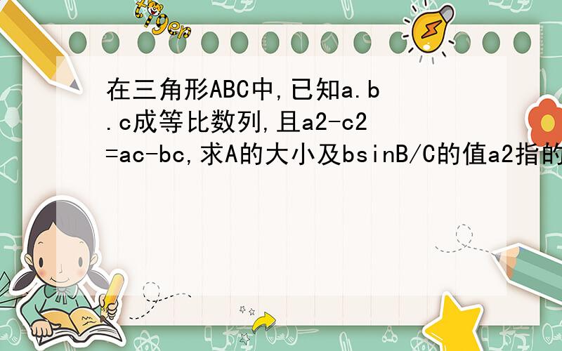 在三角形ABC中,已知a.b.c成等比数列,且a2-c2=ac-bc,求A的大小及bsinB/C的值a2指的是a的平方 c2是c的平方