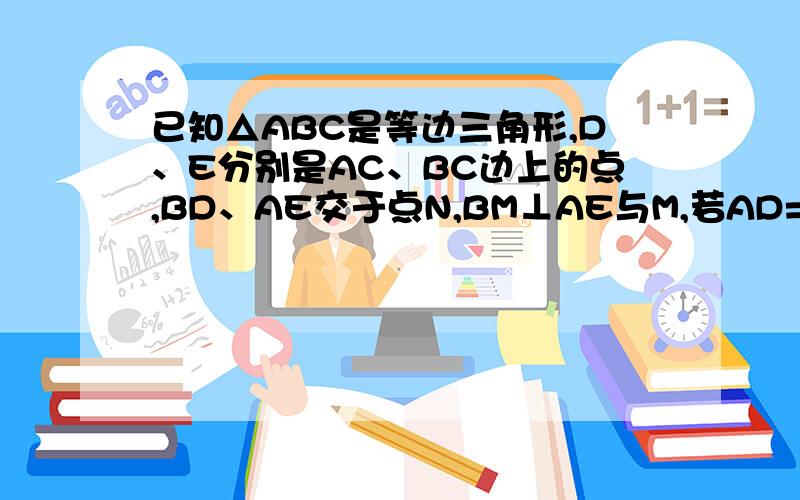 已知△ABC是等边三角形,D、E分别是AC、BC边上的点,BD、AE交于点N,BM⊥AE与M,若AD=CE.求证：MN=½BN