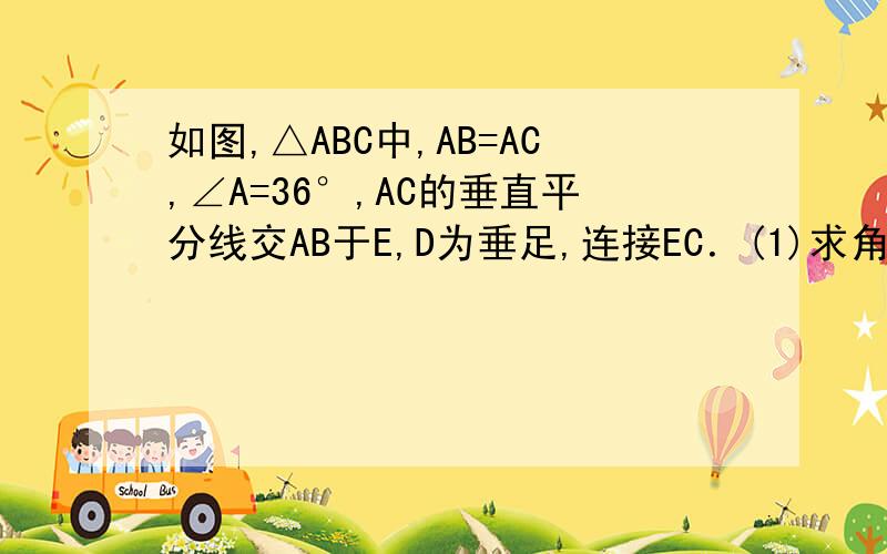 如图,△ABC中,AB=AC,∠A=36°,AC的垂直平分线交AB于E,D为垂足,连接EC．(1)求角ECD的度数；（2）若CE=5,求BC的长要完整的答题模式,