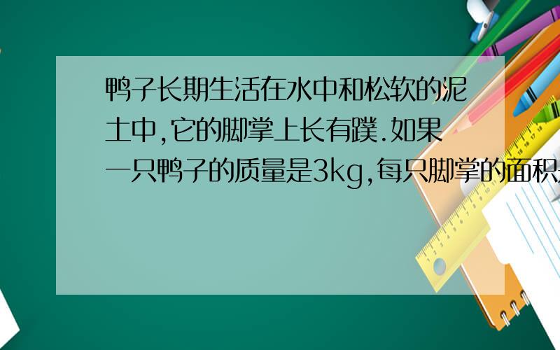 鸭子长期生活在水中和松软的泥土中,它的脚掌上长有蹼.如果一只鸭子的质量是3kg,每只脚掌的面积是10平方cm,求它站立时对地面的压强