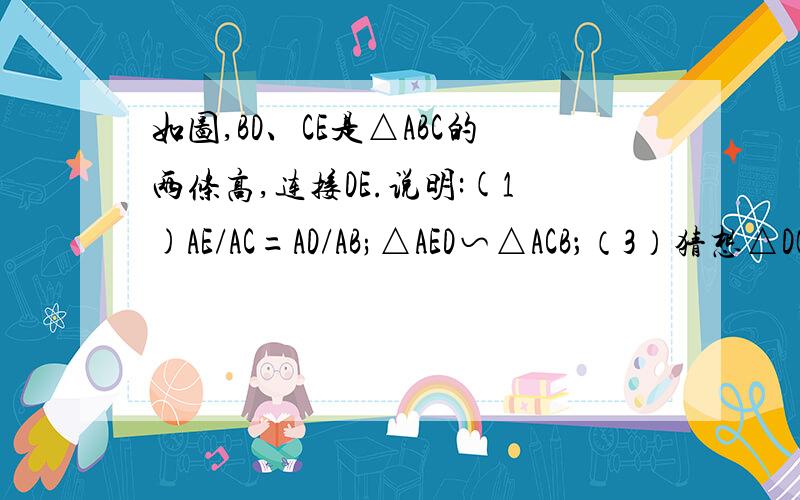 如图,BD、CE是△ABC的两条高,连接DE.说明:(1)AE/AC=AD/AB;△AED∽△ACB；（3）猜想△DOE与△COB能相似吗?请说明理由.