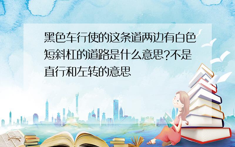 黑色车行使的这条道两边有白色短斜杠的道路是什么意思?不是直行和左转的意思