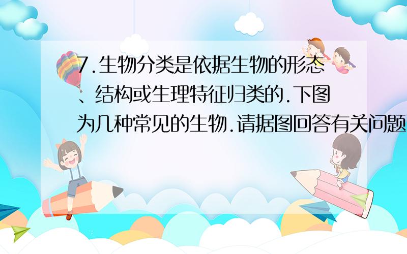 7.生物分类是依据生物的形态、结构或生理特征归类的.下图为几种常见的生物.请据图回答有关问题7.生物分类是依据生物的形态、结构或生理特征归类的.下图为几种常见的生物,请据图回答