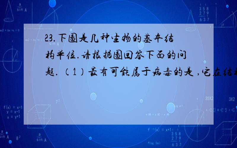 23.下图是几种生物的基本结构单位.请根据图回答下面的问题. （1）最有可能属于病毒的是 ,它在结构上不