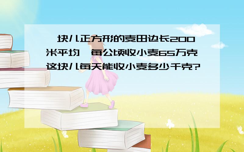 一块儿正方形的麦田边长200米平均,每公顷收小麦65万克这块儿每天能收小麦多少千克?