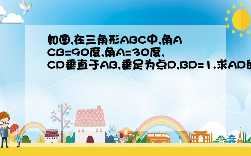 如图,在三角形ABC中,角ACB=90度,角A=30度,CD垂直于AB,垂足为点D,BD=1.求AD的长?