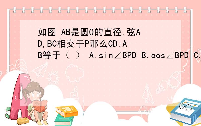 如图 AB是圆O的直径,弦AD,BC相交于P那么CD:AB等于（ ） A.sin∠BPD B.cos∠BPD C.tan∠BPD D.sin∠BCD