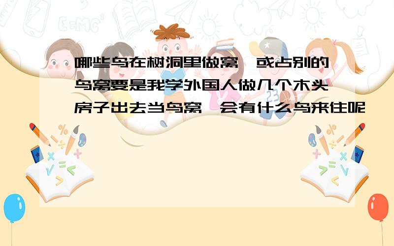 哪些鸟在树洞里做窝,或占别的鸟窝要是我学外国人做几个木头房子出去当鸟窝,会有什么鸟来住呢