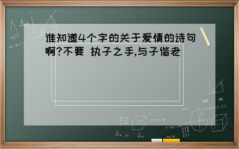 谁知道4个字的关于爱情的诗句啊?不要 执子之手,与子偕老