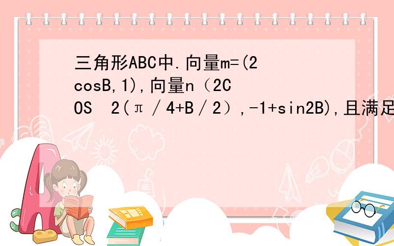 三角形ABC中.向量m=(2cosB,1),向量n（2COSˆ2(π∕4+B∕2）,-1+sin2B),且满足︳m+n︳=︳m-n︳1,求角B的大小 2,求sinA的平方+sinC的平方的取值范围