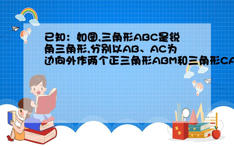 已知：如图,三角形ABC是锐角三角形,分别以AB、AC为边向外作两个正三角形ABM和三角形CAN,D、E、F分别是MB、BC、CN的中点,连接DE、FE.求证：DE=FE