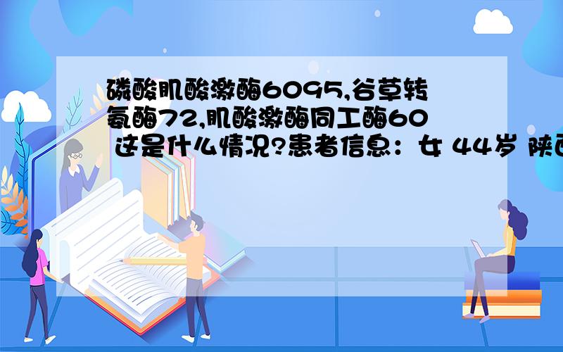 磷酸肌酸激酶6095,谷草转氨酶72,肌酸激酶同工酶60 这是什么情况?患者信息：女 44岁 陕西 西安 病情描述(发病时间、主要症状等)：瞌睡特别得多!再没有别的症状了