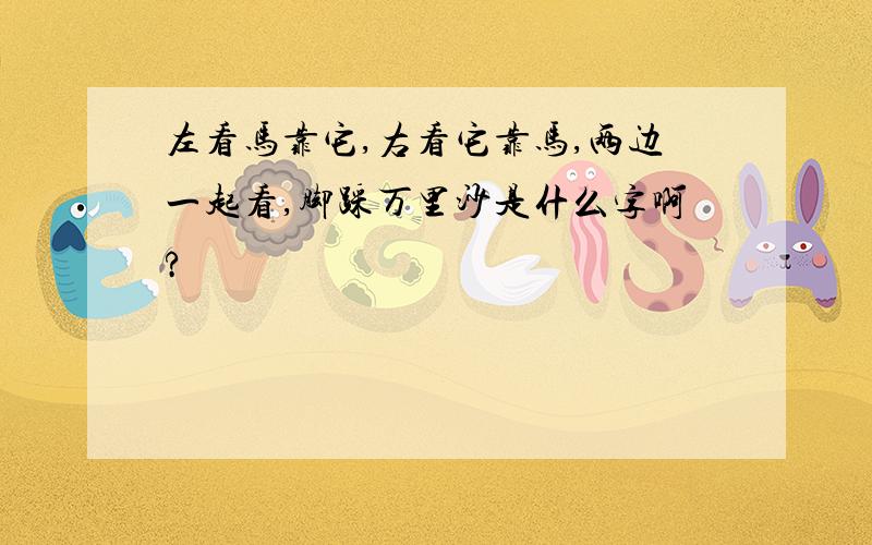 左看马靠它,右看它靠马,两边一起看,脚踩万里沙是什么字啊?