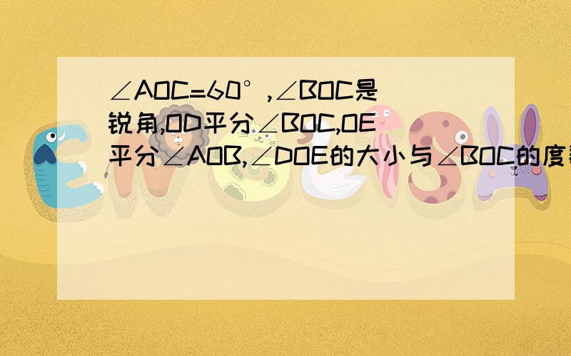 ∠AOC=60°,∠BOC是锐角,OD平分∠BOC,OE平分∠AOB,∠DOE的大小与∠BOC的度数有关吗?求出∠DOE的度数.图在《寒假新天地》数学 七年级的26页 题13!请知名大虾帮帮忙!