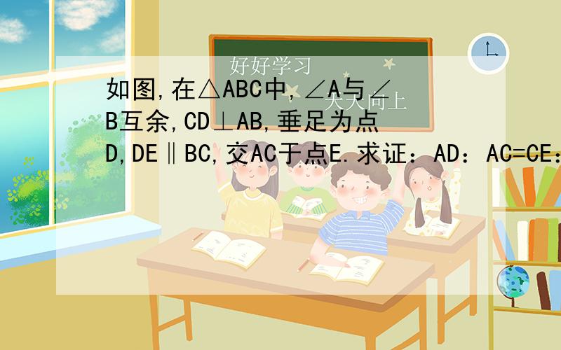 如图,在△ABC中,∠A与∠B互余,CD⊥AB,垂足为点D,DE‖BC,交AC于点E.求证：AD：AC=CE：BD