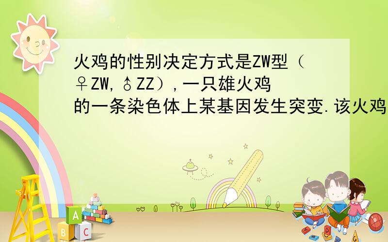 火鸡的性别决定方式是ZW型（♀ZW,♂ZZ）,一只雄火鸡的一条染色体上某基因发生突变.该火鸡与野生型火鸡杂交,F1的雌雄火鸡中均有野生型、突变型.假如仅通过一次杂交实验必须鉴别突变基因