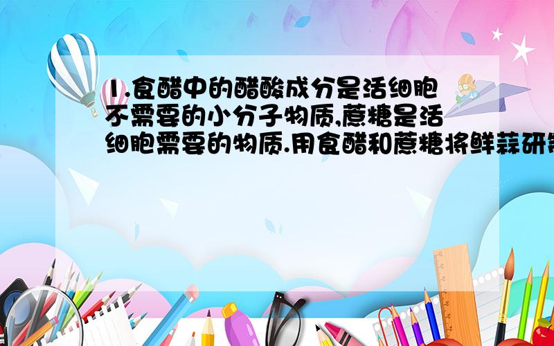 1.食醋中的醋酸成分是活细胞不需要的小分子物质,蔗糖是活细胞需要的物质.用食醋和蔗糖将鲜蒜研制成糖醋蒜的原理是?A.醋酸和蔗糖分子均存在于活细胞的间隙中B.能杀死细胞,使细胞失去选