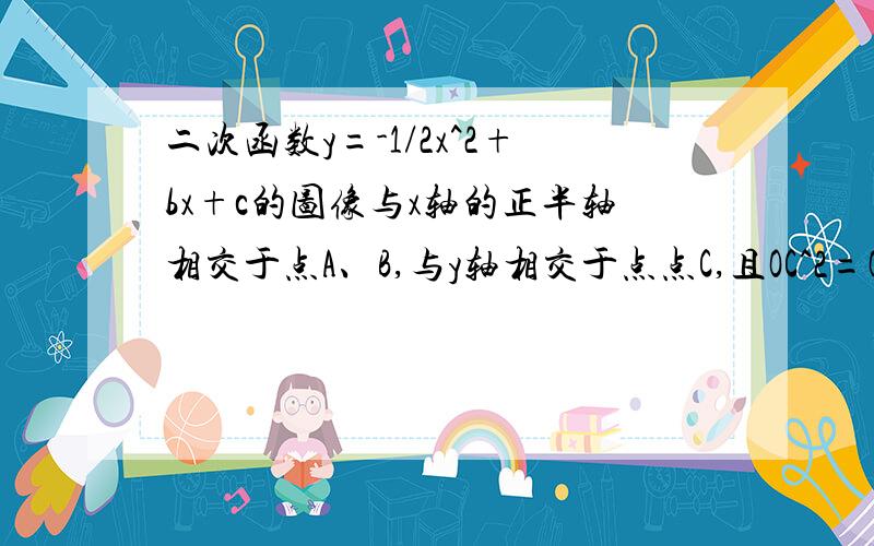 二次函数y=-1/2x^2+bx+c的图像与x轴的正半轴相交于点A、B,与y轴相交于点点C,且OC^2=OA*OB.（1）求c的值（2）若△ABC的面积为3.求该二次函数的解析式答案要详细,快