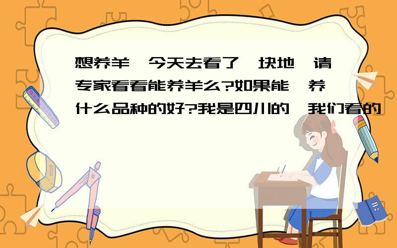 想养羊,今天去看了一块地,请专家看看能养羊么?如果能,养什么品种的好?我是四川的,我们看的一块地,空地,面积大概100多亩,在一个山坡上的山凹里,山不高.土地旁边就有水泥路,运输很方便,而