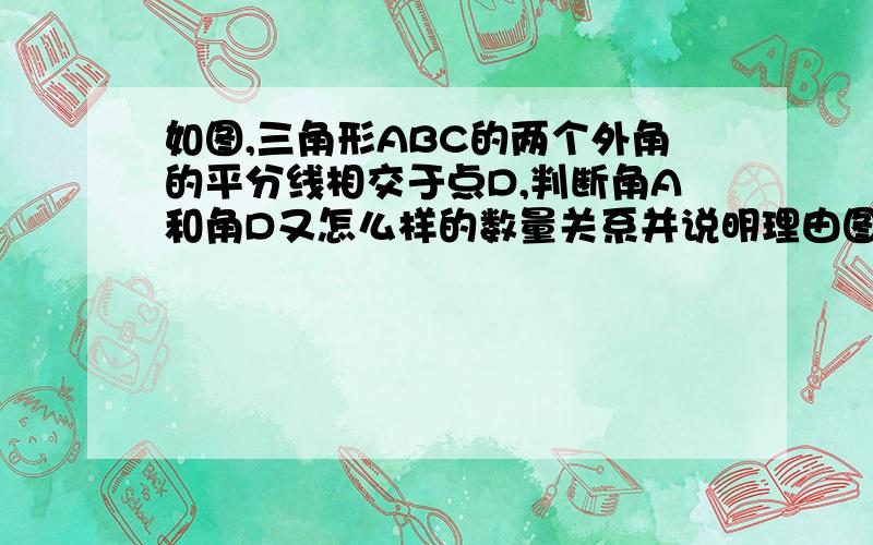 如图,三角形ABC的两个外角的平分线相交于点D,判断角A和角D又怎么样的数量关系并说明理由图,三角形ABC的两个外角的平分线相交于点D,判断角A和角D又怎么样的数量关系并说明理由字母顺序,