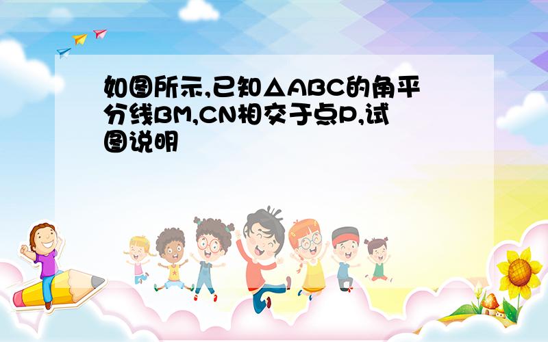 如图所示,已知△ABC的角平分线BM,CN相交于点P,试图说明