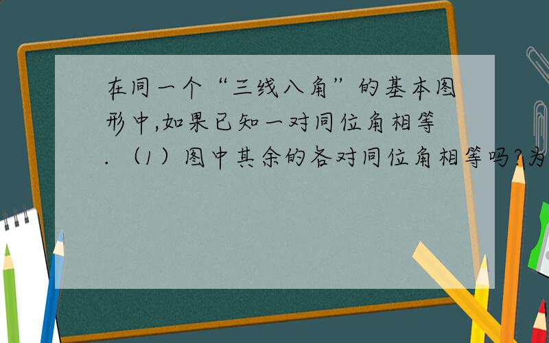 在同一个“三线八角”的基本图形中,如果已知一对同位角相等. （1）图中其余的各对同位角相等吗?为什么? （2）图中的各对内错角相等吗?为什么? （3）猜想图中各对同旁内角有怎样的数量