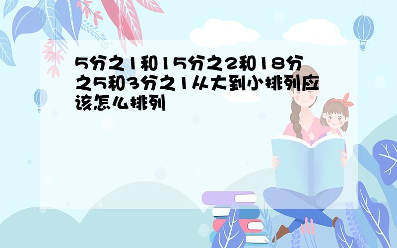 5分之1和15分之2和18分之5和3分之1从大到小排列应该怎么排列