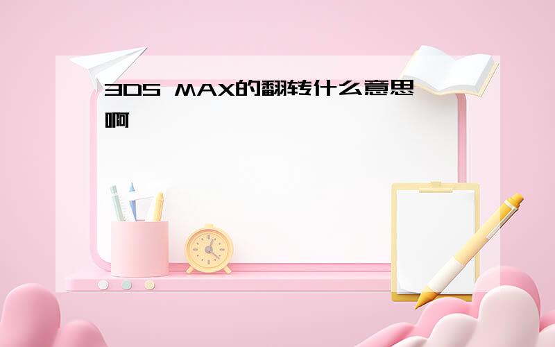 3DS MAX的翻转什么意思啊