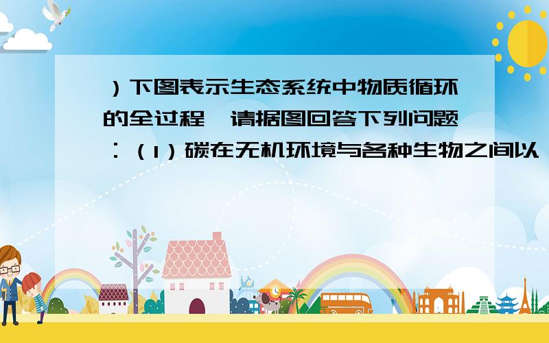 ）下图表示生态系统中物质循环的全过程,请据图回答下列问题：（1）碳在无机环境与各种生物之间以 的形式