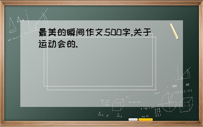 最美的瞬间作文500字,关于运动会的.