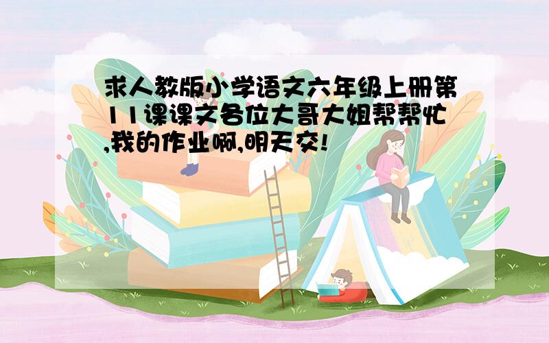 求人教版小学语文六年级上册第11课课文各位大哥大姐帮帮忙,我的作业啊,明天交!