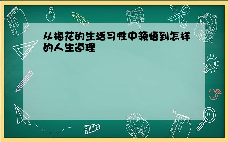 从梅花的生活习性中领悟到怎样的人生道理