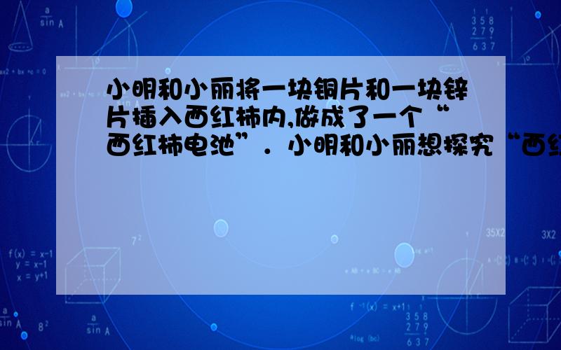 小明和小丽将一块铜片和一块锌片插入西红柿内,做成了一个“西红柿电池”．小明和小丽想探究“西红柿电池的电压大小与哪些因素有关”,小丽说：“可能与两金属片之间的距离有关”,如