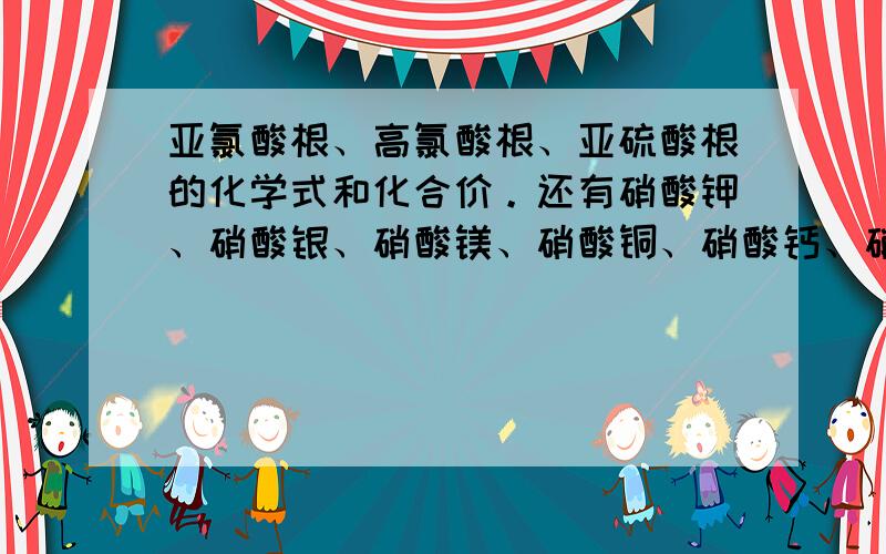 亚氯酸根、高氯酸根、亚硫酸根的化学式和化合价。还有硝酸钾、硝酸银、硝酸镁、硝酸铜、硝酸钙、硝酸亚铁、硝酸铁、碳酸钠、碳酸钾、碳酸镁、碳酸钙、碳酸钙、碳酸钡、硫化钾、硫