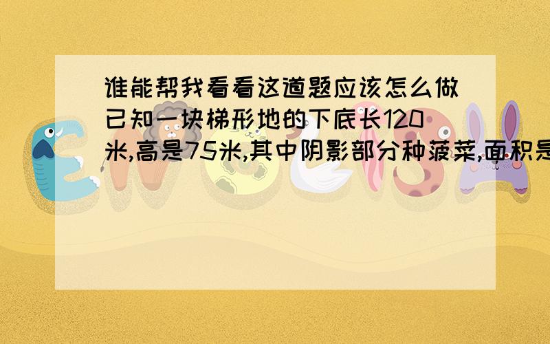 谁能帮我看看这道题应该怎么做已知一块梯形地的下底长120米,高是75米,其中阴影部分种菠菜,面积是3750平方米.这块梯形菜地的面积是多少平方米?